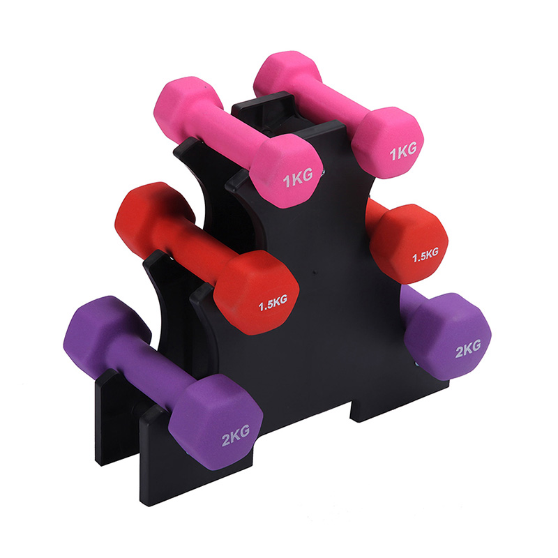 Set Dumbbell Gym Rumah